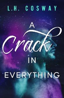 A Crack in Everything (Cracks Book 1)