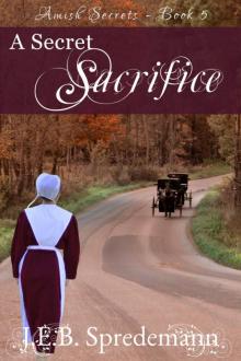 A Secret Sacrifice (Amish Secrets--Book 5) Read online