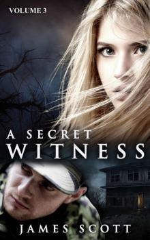 A Secret Witness Read online