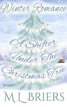 A Shifter Under the Christmas Tree