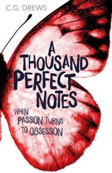 A Thousand Perfect Notes Read online