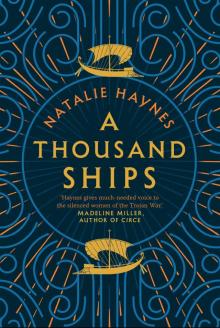 A Thousand Ships Read online