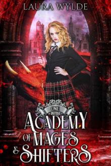 Academy of Mages and Shifters 1 Read online