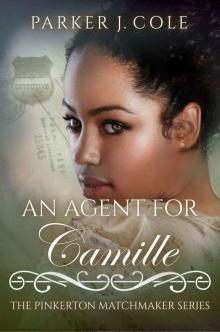 An Agent for Camille Read online