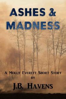 Ashes and Madness Read online