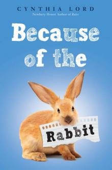 Because of the Rabbit Read online