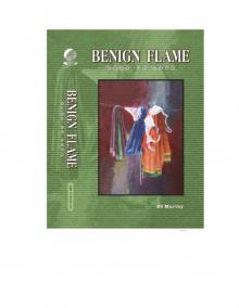 Benign Flame Saga Of Love In Chapters Format Read online