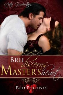 Brie Discerns Master's Heart (After Graduation, #6) Read online