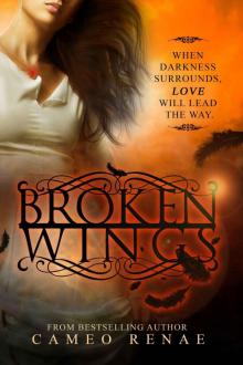 Broken Wings (Hidden Wings Series Book Two) Read online