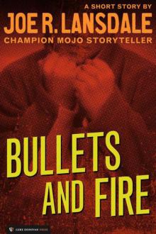 Bullets and Fire Read online