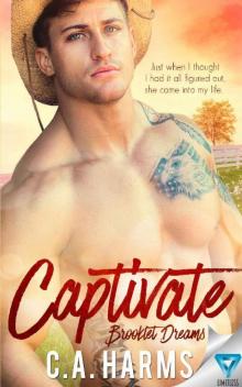 Captivate (Brooklet Dreams Book 2)