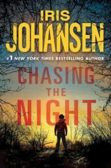 Chasing the Night Read online