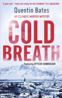 Cold Breath (Gunnhildur Mystery Book 7) Read online