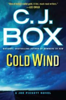 Cold Wind Read online