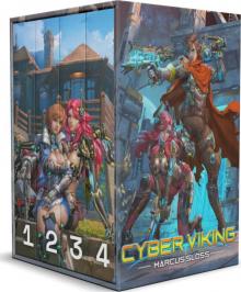 Cyber Viking Box Set Read online