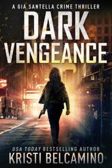 Dark Vengeance Read online