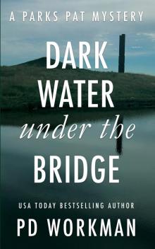 Dark Water Under the Bridge