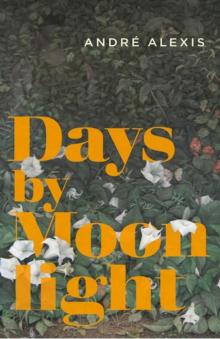 Days by moonlight Read online