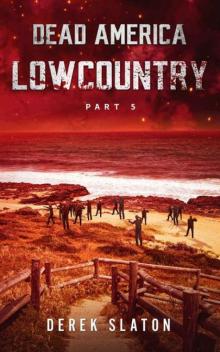 Dead America: Lowcountry | Book 5 | Lowcountry [Part 5] Read online