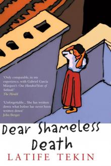 Dear Shameless Death Read online