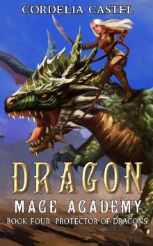 Dragon Mage Academy Read online