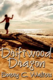 Driftwood Dragon Read online