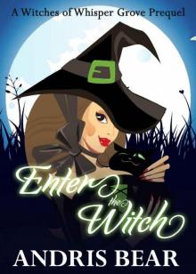 Enter the Witch Read online