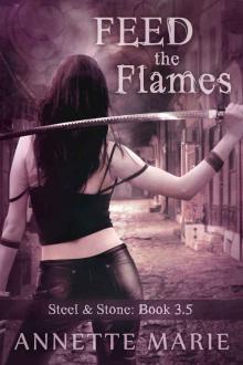 Feed the Flames (Steel & Stone) Read online
