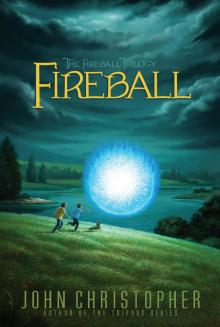 Fireball Read online