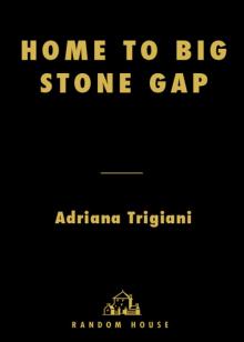 Home to Big Stone Gap Read online