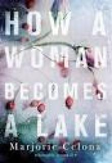 How a Woman Becomes a Lake (ARC) Read online