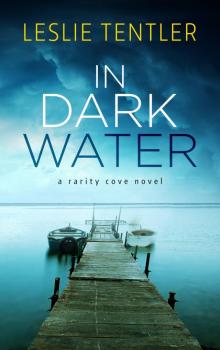 In Dark Water (Rarity Cove Book 3) Read online