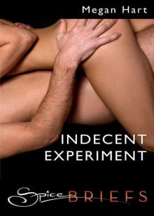 Indecent Experiment Read online