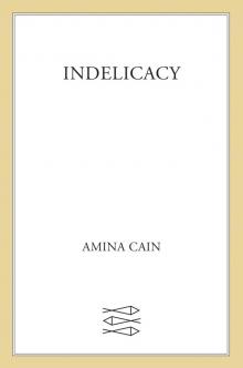 Indelicacy