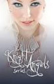 Knight Angels: Book of Revenge Read online