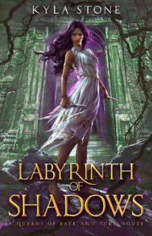Labyrinth of Shadows Read online