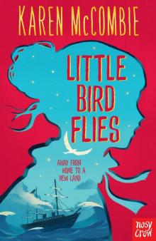 Little Bird Flies Read online