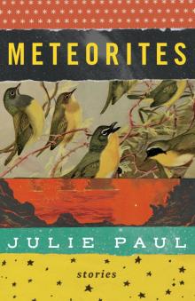 Meteorites Read online