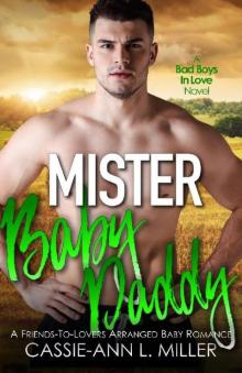 Mister Baby Daddy (Bad Boys in Love Book 3) Read online