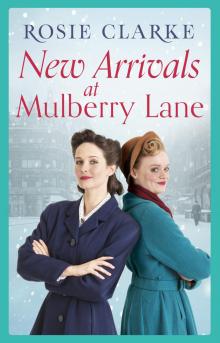 New Arrivals at Mulberry Lane Read online