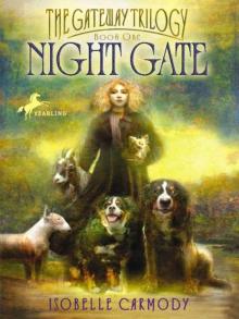 Night Gate Read online