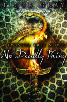 No Deadly Thing Read online