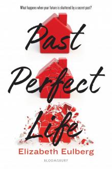 Past Perfect Life Read online