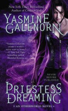 Priestess Dreaming (An Otherworld Novel)
