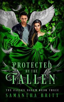 Protected by the Fallen: A Fallen Angel Reverse Harem Novel (The Fallen Harem Book 3) Read online