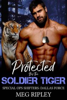 Protected By The Soldier Tiger (Special Ops Shifters: Dallas Force Book 2)