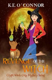 Revenge of the Witch Read online