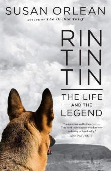 Rin Tin Tin Read online