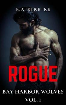 Rogue: Bay Harbor Wolves Vol. 1 Read online