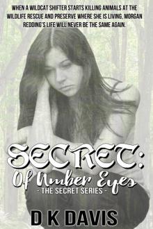 Secret: Of Amber Eyes